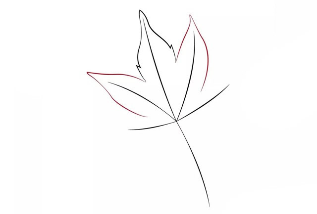 帶顏色的楓葉簡筆畫怎么畫