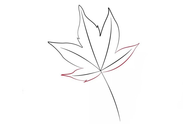 帶顏色的楓葉簡筆畫怎么畫