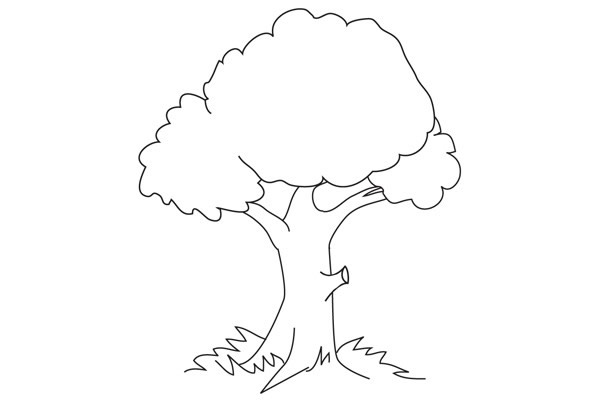 四步學(xué)會(huì)畫一顆簡(jiǎn)單的大樹