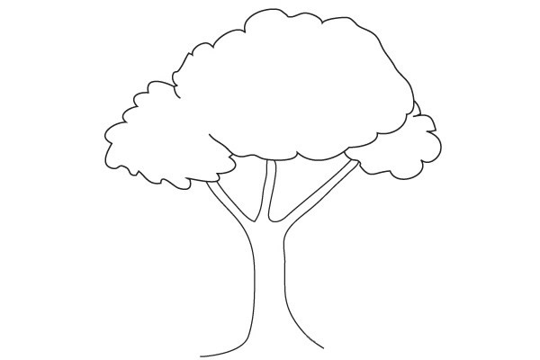 四步學(xué)會(huì)畫一顆簡(jiǎn)單的大樹