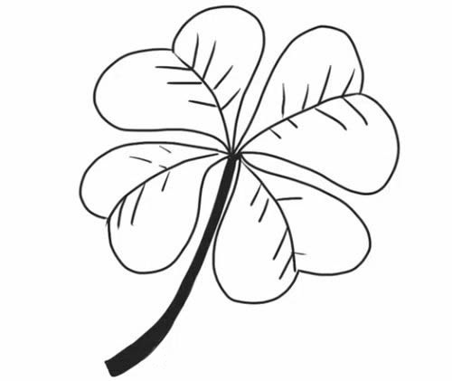 四葉草的詳細(xì)步驟教程