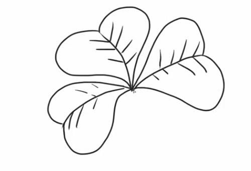 四葉草的詳細(xì)步驟教程