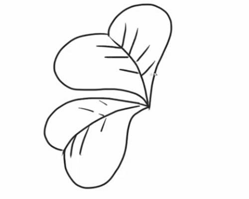 四葉草的詳細(xì)步驟教程