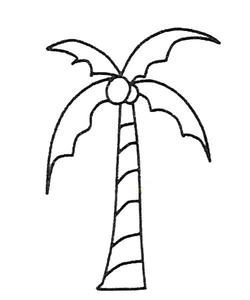 5款關于椰樹的簡筆畫大全