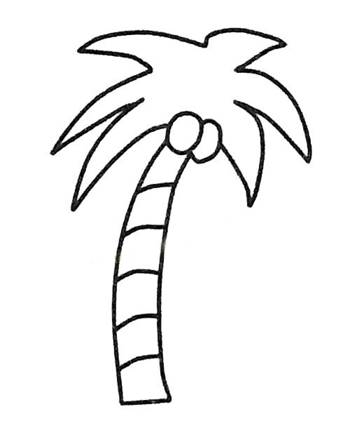 5款關于椰樹的簡筆畫大全
