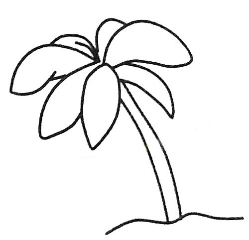 5款關于椰樹的簡筆畫大全
