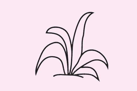 幾幅簡(jiǎn)單的草叢簡(jiǎn)筆畫(huà)