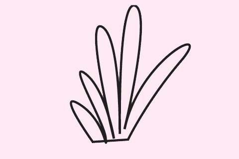 幾幅簡(jiǎn)單的草叢簡(jiǎn)筆畫(huà)