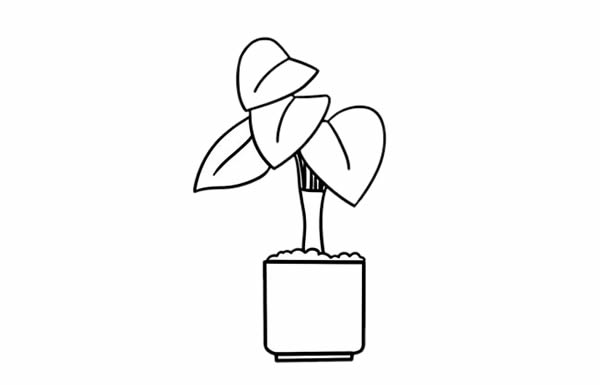 萬(wàn)年青簡(jiǎn)筆畫(huà)彩色畫(huà)法