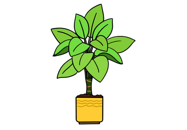 萬(wàn)年青簡(jiǎn)筆畫(huà)彩色畫(huà)法