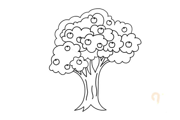 結滿果子的蘋果樹簡筆畫 結滿果子的蘋果樹簡筆畫