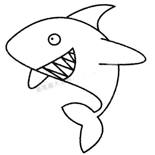 13款關(guān)于鯊魚的簡(jiǎn)筆畫大全 13款關(guān)于鯊魚的簡(jiǎn)筆畫大全