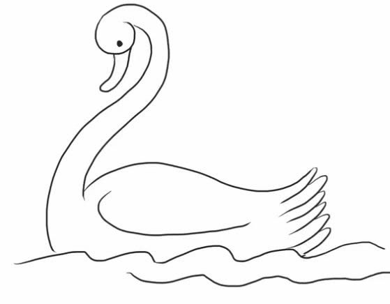 水中的白天鵝簡(jiǎn)筆畫(huà)教程