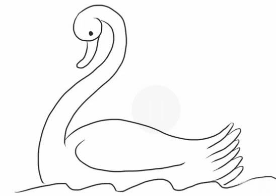 水中的白天鵝簡(jiǎn)筆畫(huà)教程