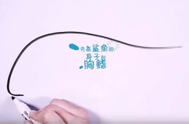 兇狠的鯊魚簡(jiǎn)筆畫教程