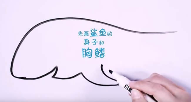 兇狠的鯊魚簡(jiǎn)筆畫教程