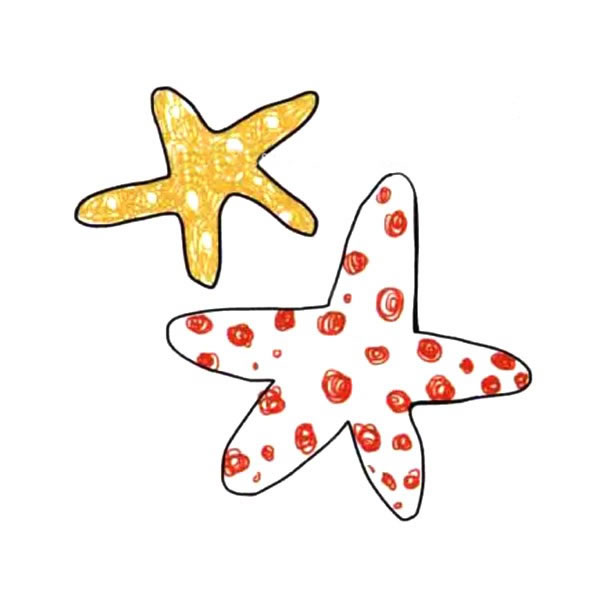兩只涂色的海星簡(jiǎn)筆畫