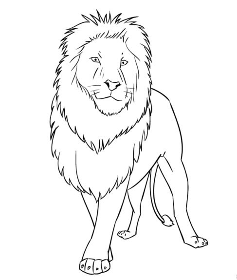 生動(dòng)霸氣的獅子簡(jiǎn)筆畫教程 生動(dòng)霸氣的獅子簡(jiǎn)筆畫教程
