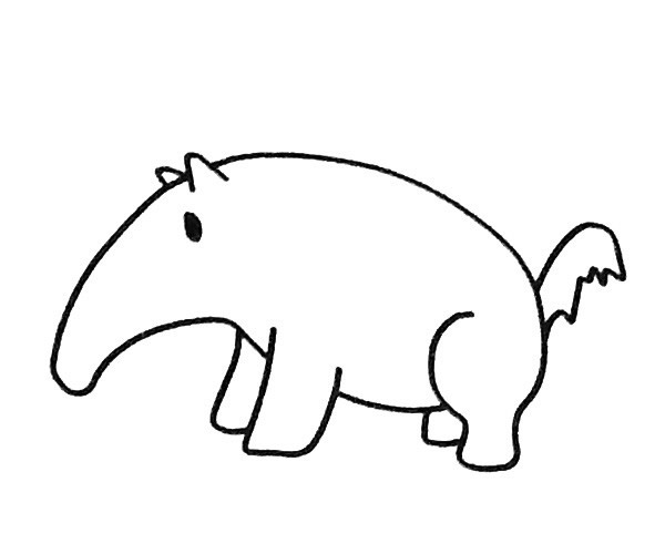 關(guān)于食蟻獸的簡(jiǎn)筆畫(huà)