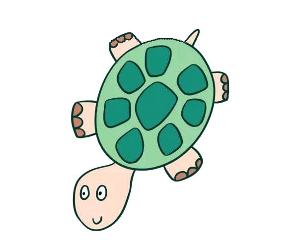 卡通小烏龜簡(jiǎn)筆畫(huà)彩色畫(huà)法