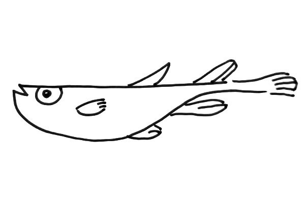 關(guān)于鱸魚(yú)的簡(jiǎn)筆畫(huà)