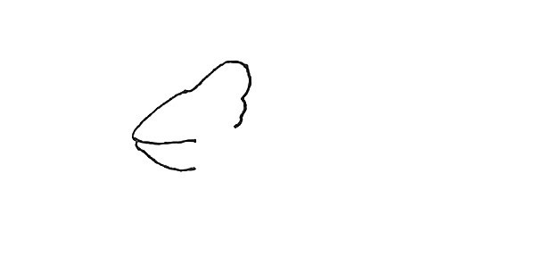 樹(shù)枝上的變色龍簡(jiǎn)筆畫(huà)步驟