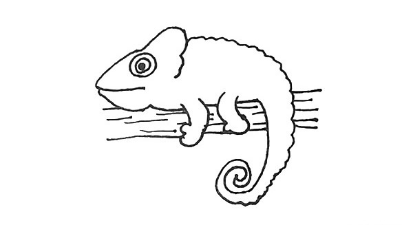 樹(shù)枝上的變色龍簡(jiǎn)筆畫(huà)步驟
