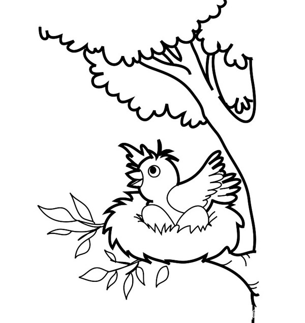 鳥窩里的小鳥簡筆畫