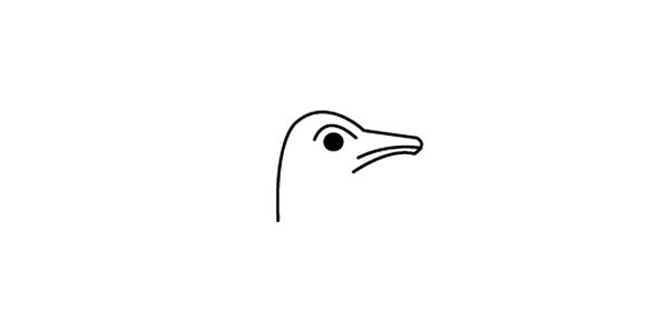 一步步教你畫鴕鳥簡(jiǎn)筆畫