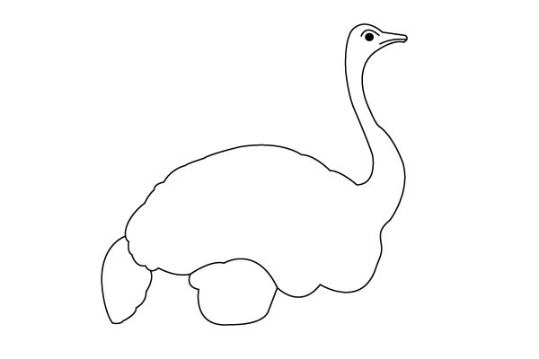 一步步教你畫鴕鳥簡(jiǎn)筆畫