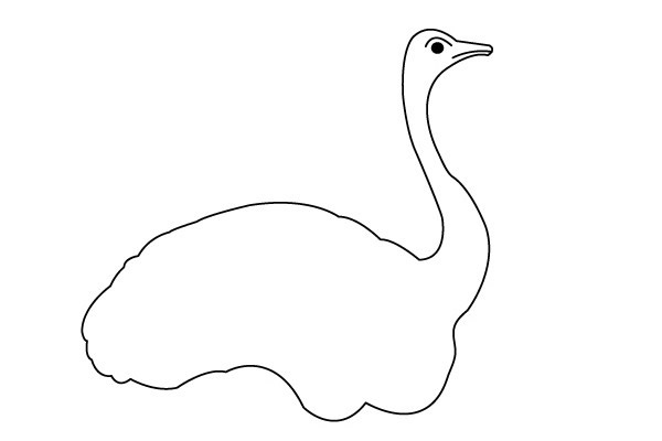一步步教你畫鴕鳥簡(jiǎn)筆畫