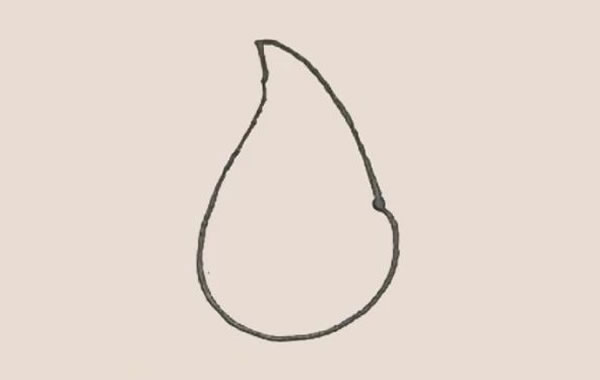 鯰魚(yú)簡(jiǎn)筆畫(huà)教程