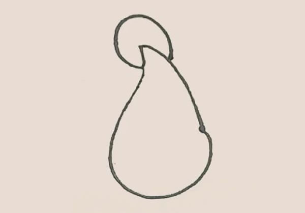 鯰魚(yú)簡(jiǎn)筆畫(huà)教程