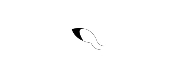 一步步教你畫簡(jiǎn)單的海鷗