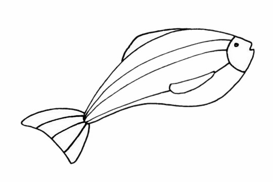 斑馬魚兒童簡筆畫