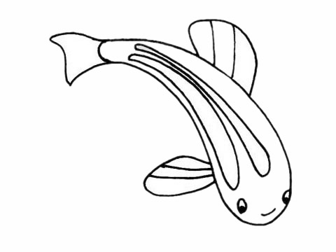 簡單的斑馬魚怎么畫