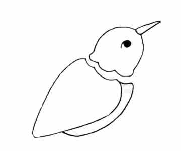 蜂鳥簡筆畫步驟教程