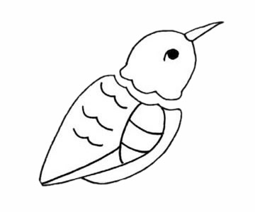 蜂鳥簡筆畫步驟教程
