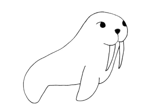 海象怎么畫最簡單