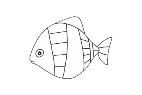 虎皮魚簡筆畫步驟教程