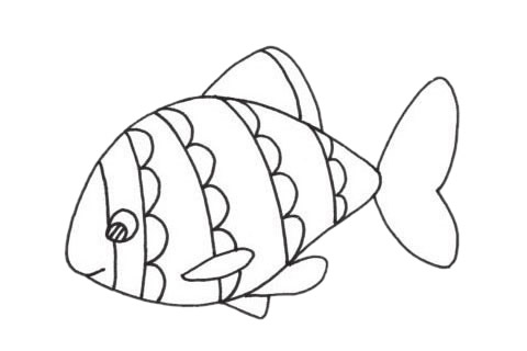 關(guān)于虎皮魚的簡筆畫