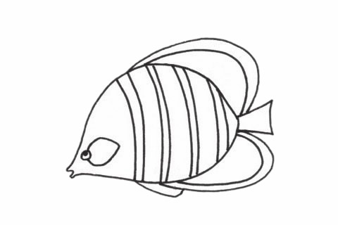 接吻魚簡筆畫步驟教程