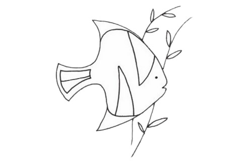 黃鰭鯧簡(jiǎn)筆畫(huà)步驟教程