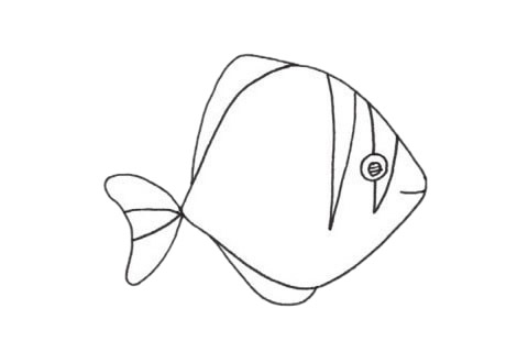 關(guān)于黃鰭鯧的簡筆畫