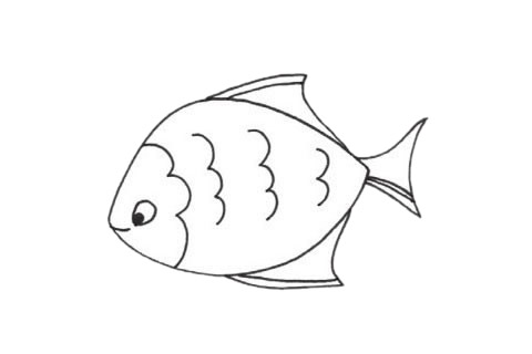 黃鰭鯧兒童簡筆畫