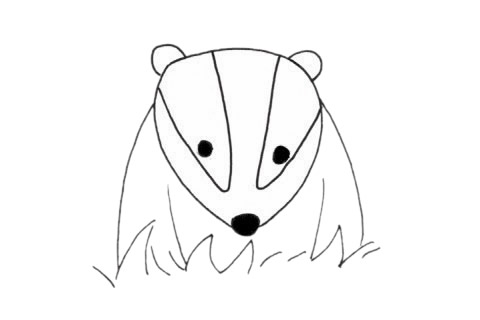 獾的簡(jiǎn)筆畫步驟教程