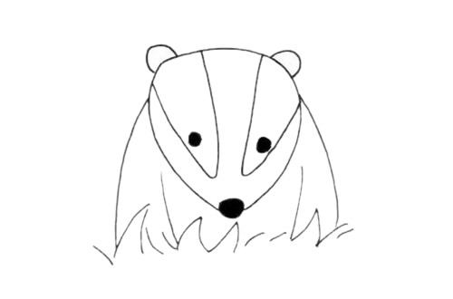 獾的簡(jiǎn)筆畫步驟教程