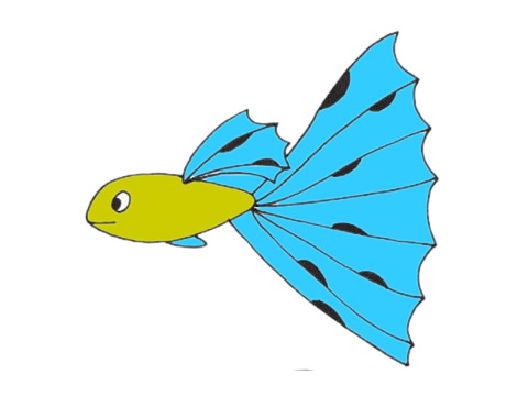 漂亮的孔雀魚簡筆畫