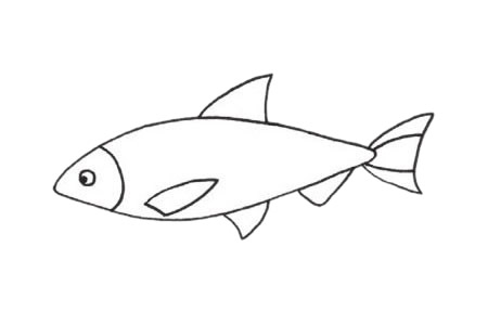 沙丁魚簡筆畫步驟