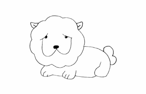 松獅犬簡筆畫步驟 松獅犬簡筆畫步驟